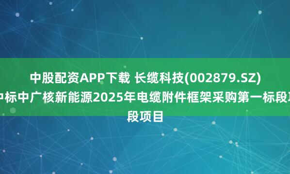 中股配资APP下载 长缆科技(002879.SZ)：中标中广核新能源2025年电缆附件框架采购第一标段项目